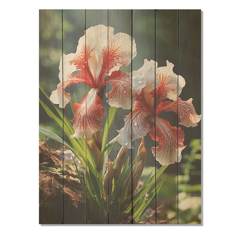 Iris Flower Meadows Grace In Forest - Iris sur bois, H 20 po x l 10 po