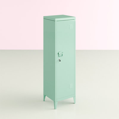 Quezada 1 -Door 2 -Shelf Storage Cabinet