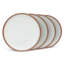 Dinner Plate - Set of 4-718284301