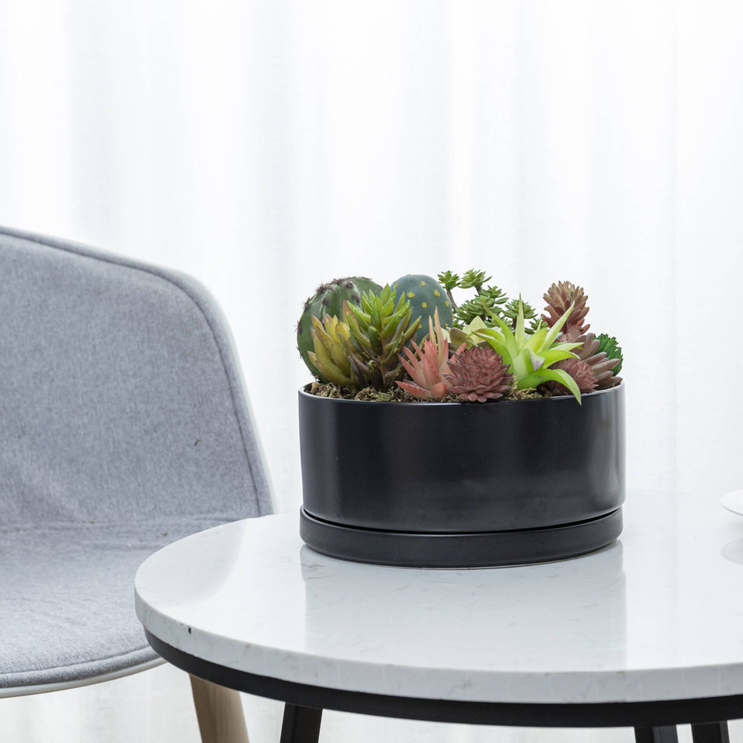Lemington 7.5" Round Black Ceramic Succulent Planter Ebern Designs
