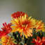 33cm Faux Flowering Plant in Pot Liner-75959754
