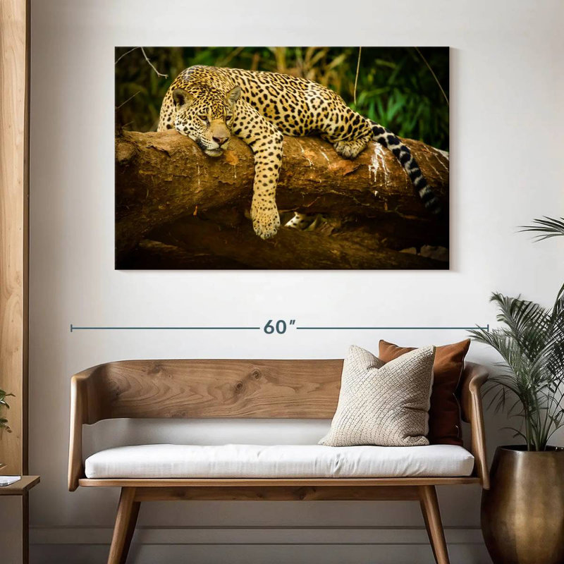 Brampt Pantanal Jaguar, H 32 po x l 48 po