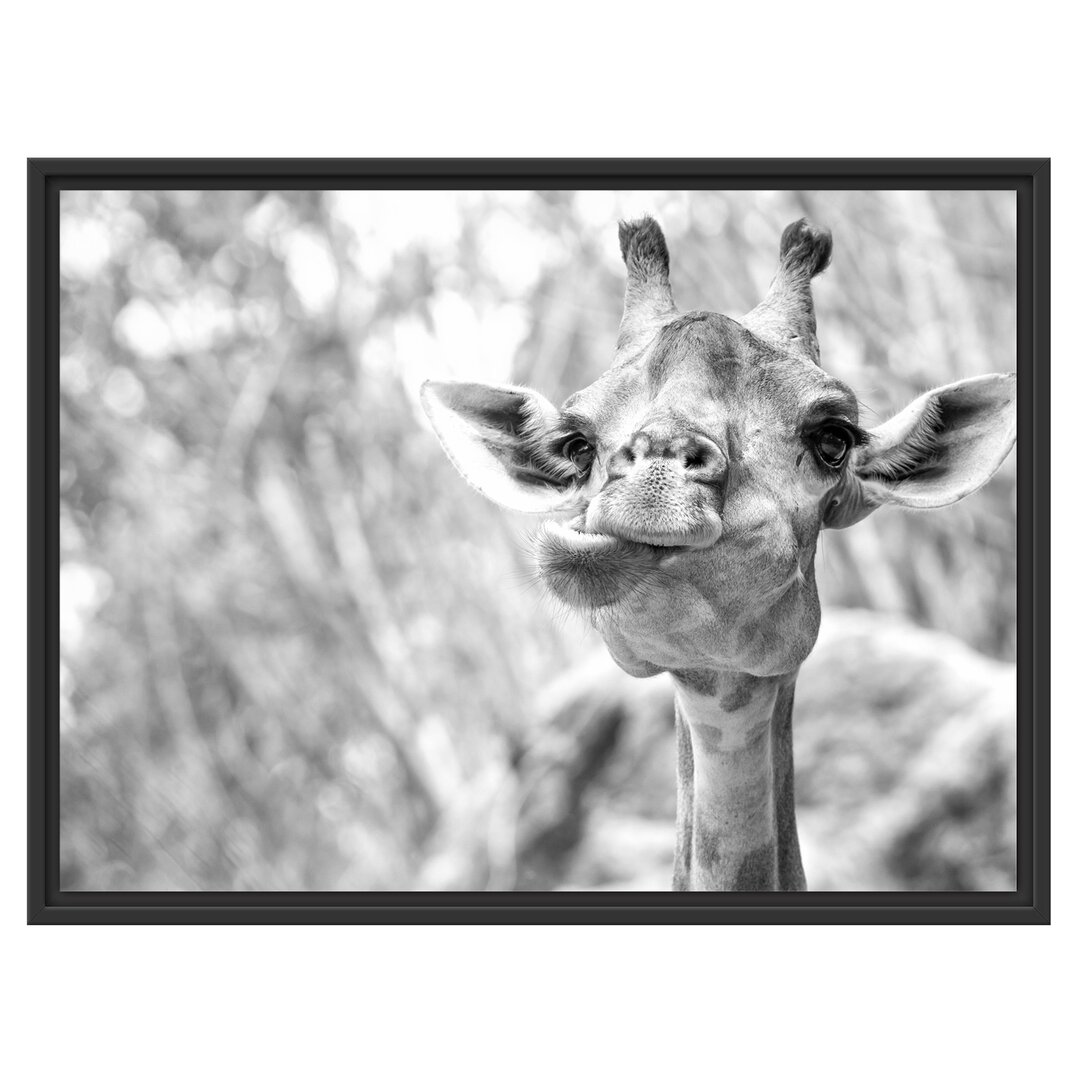 Gerahmtes Wandbild Giraffe in der Natur Kunst B&W