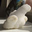 Grappe de stalactite à quartz Artia