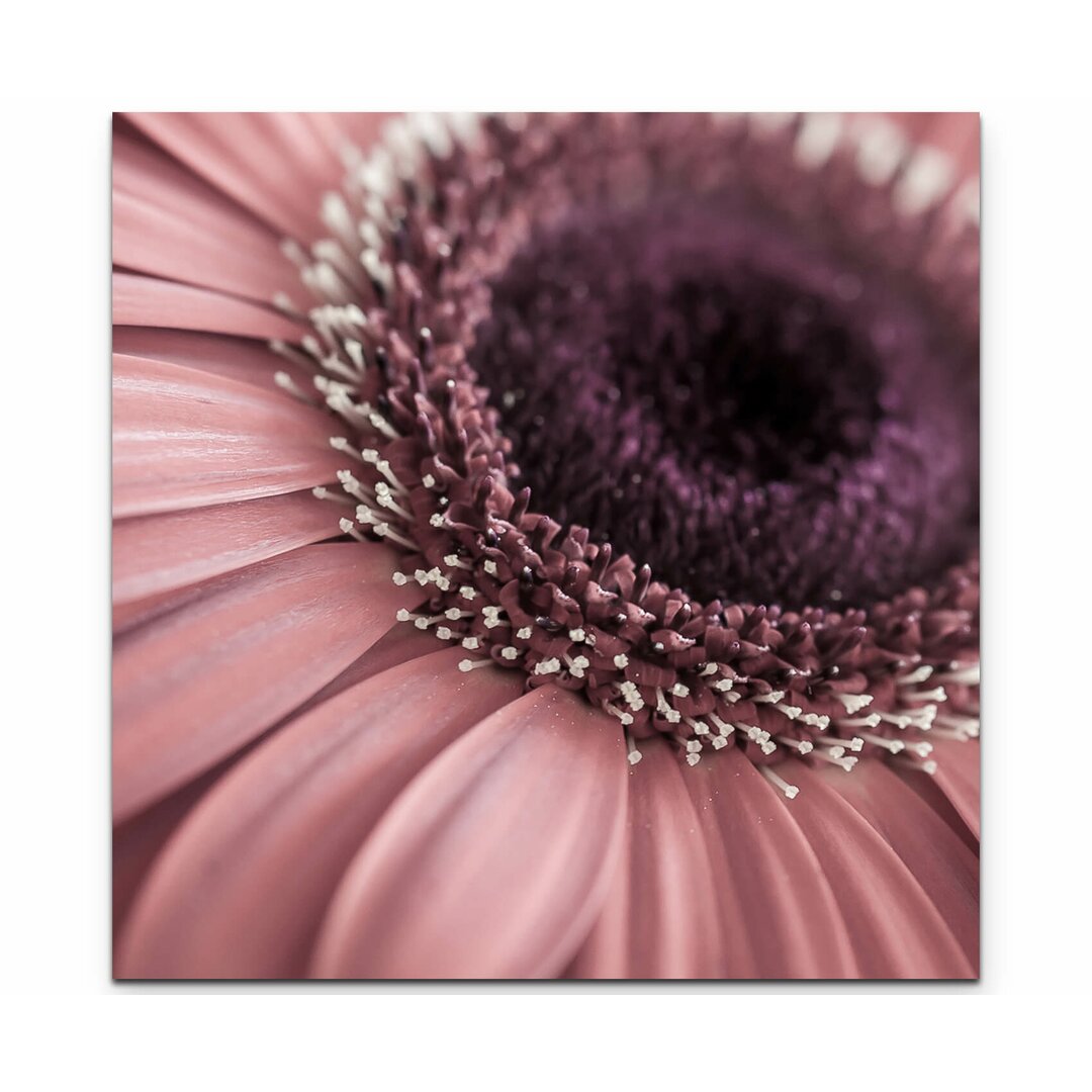 Leinwandbild Rosa Gerbera – Nahaufnahme