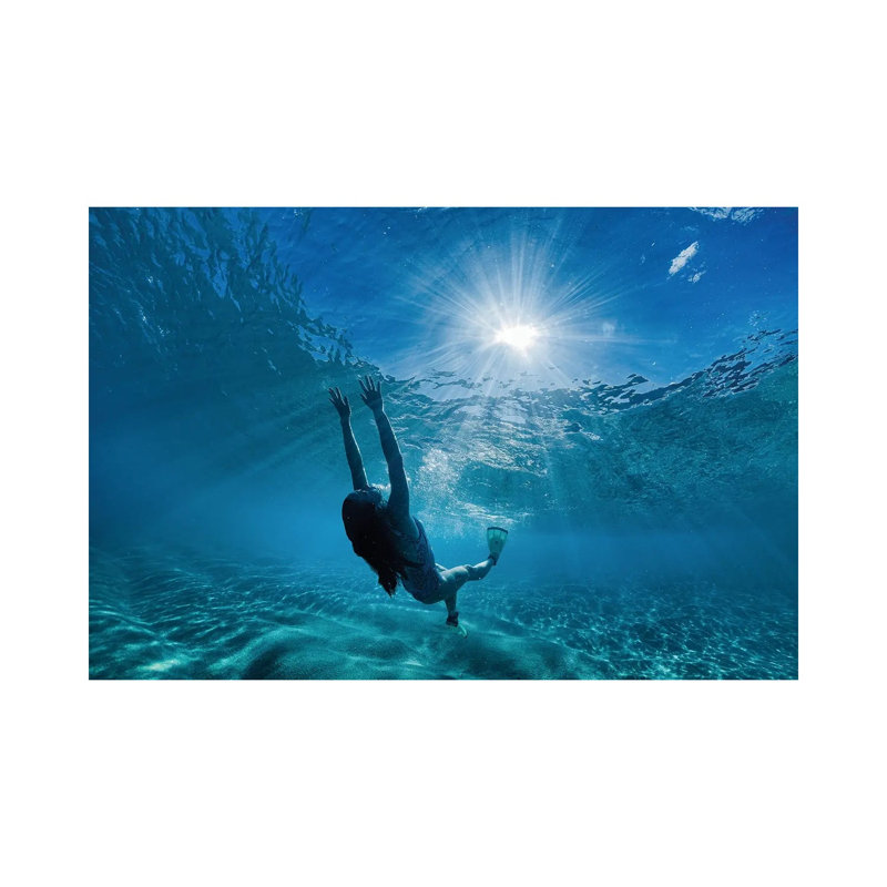 Aqua Joy by Sean Davey - Wrapped Canvas Gallery-Wrapped Canvas Giclée, 20.32 cm H x 30.48 cm W