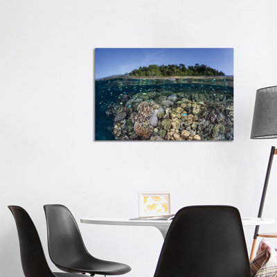 A Diverse Coral Reef Grows In Shallow Water In The Solomon Islands II by Ethan Daniels - Wrapped Canvas Print