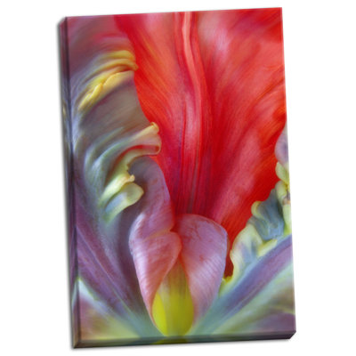 « perroquet tulipe i », reproduction de photo sur toile tendue