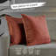 Housses de coussin rectangulaires en velours mat-88959711