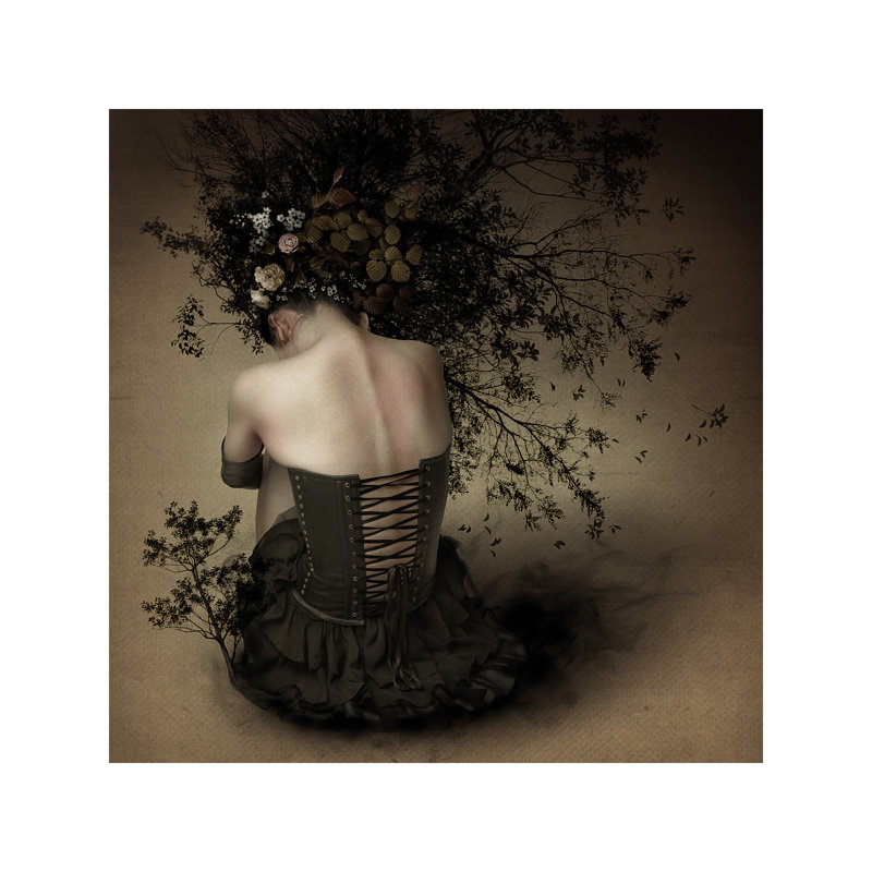 Night Scented Girl by Kiyo Murakami - Wrapped Canvas Print, 45.72 cm H x 45.72 cm W x 1.91 cm D