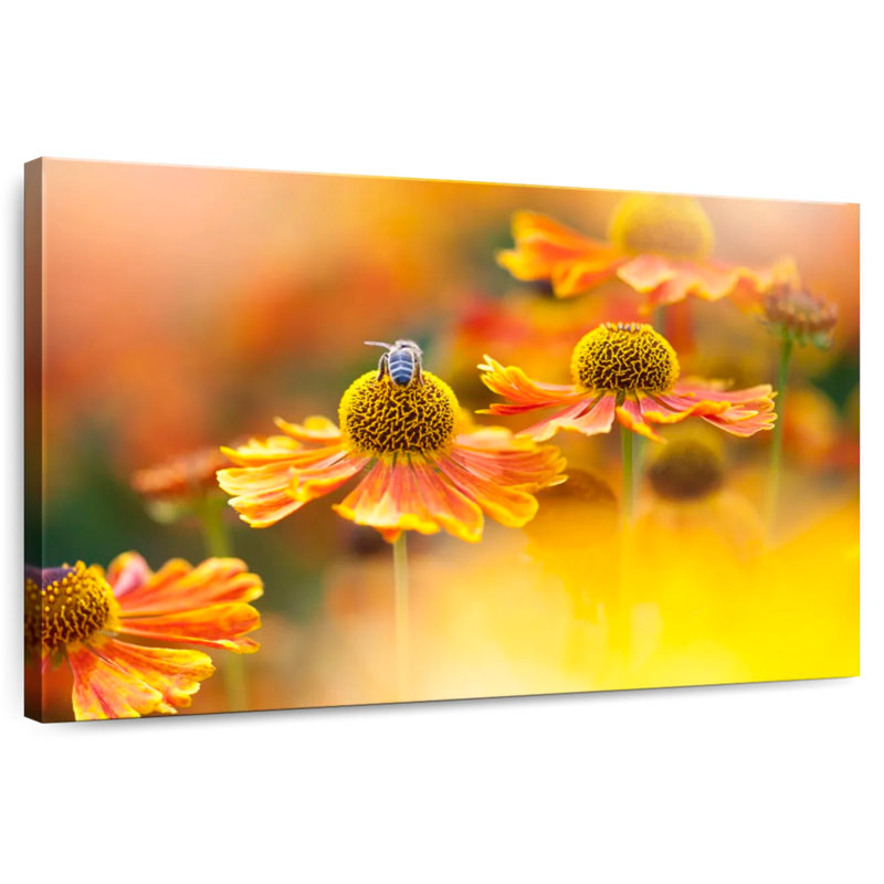Harnek abeille sur une fleur de sneezeweed, H 24 po x l 36 po