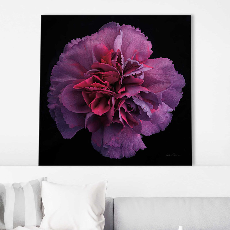 " Floral Majesty IV ", Wrapped Canvas, 18" H x 18" W x 1" D