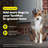YardMax Rechargeable In-Ground Fence Collar