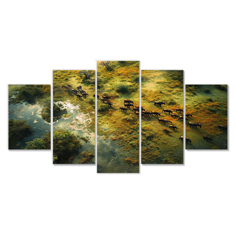 Castanon - ensemble d'art mural paysage africain 5 pièces, H 32 po x l 60 po