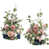 Bleu / Rose