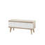 Allayna TV Stand for TVs up to 48"