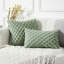 Ensemble de 2 housses de coussin décoratives 18 x 18-110974879