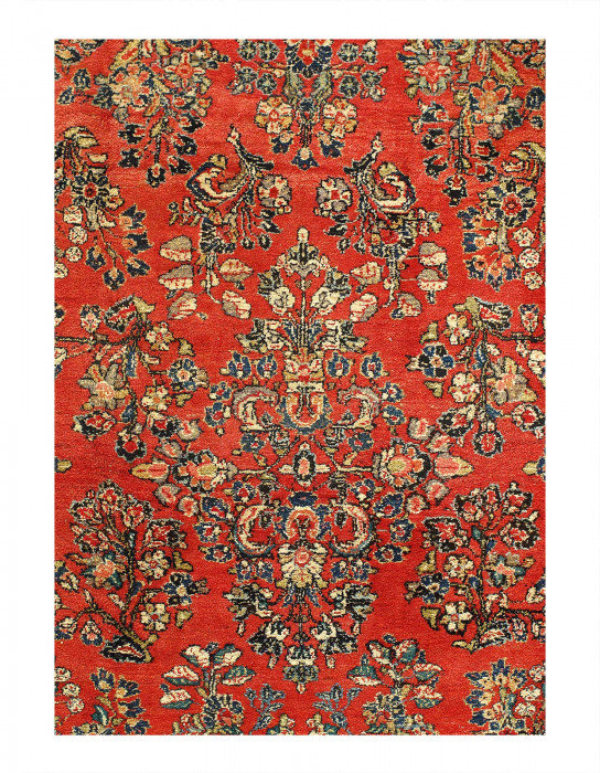 Divon One-of-a-Kind 9' X 6'07'' Hand Knotted Area Rug