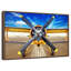 Biplan de piste-704164108-704164149
