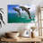 Two Jumping Dolphins-107706434