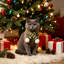 Écharpe de Noël tricotée pour animaux de compagnie, collier chaud et doux, accessoire mignon pour photos de fêtes pour chats et chiens-135399759