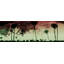 Parvez Taj - Wrapped Canvas Print-12309962