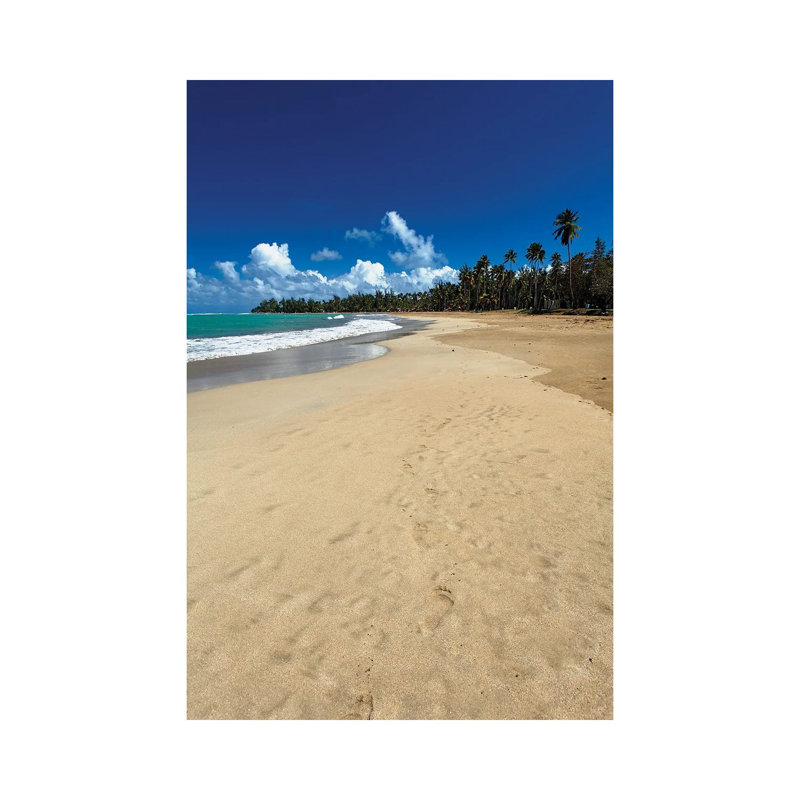 Luquillo Beach, Puerto Rico by George Oze - Wrapped Canvas Painting, 30.48 cm H x 45.72 cm W