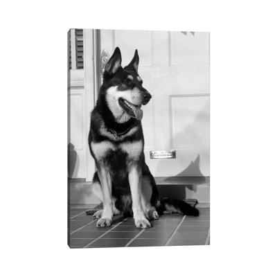 1950s German Shepherd Dog Sitting Outside Front Door of Home Guard Security Protection 1 Piece Wrapped Canvas Wall Art