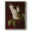 Reproduction encadrée FLORAL Series CXCIX - bois massif-1509213472