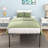 Bed Frame Metal Platform Mattress Foundation Sturdy Steel Slats Support Bed Frame with Under-Bed Storage Easy Assembly No Box Spring Needed-1685251261