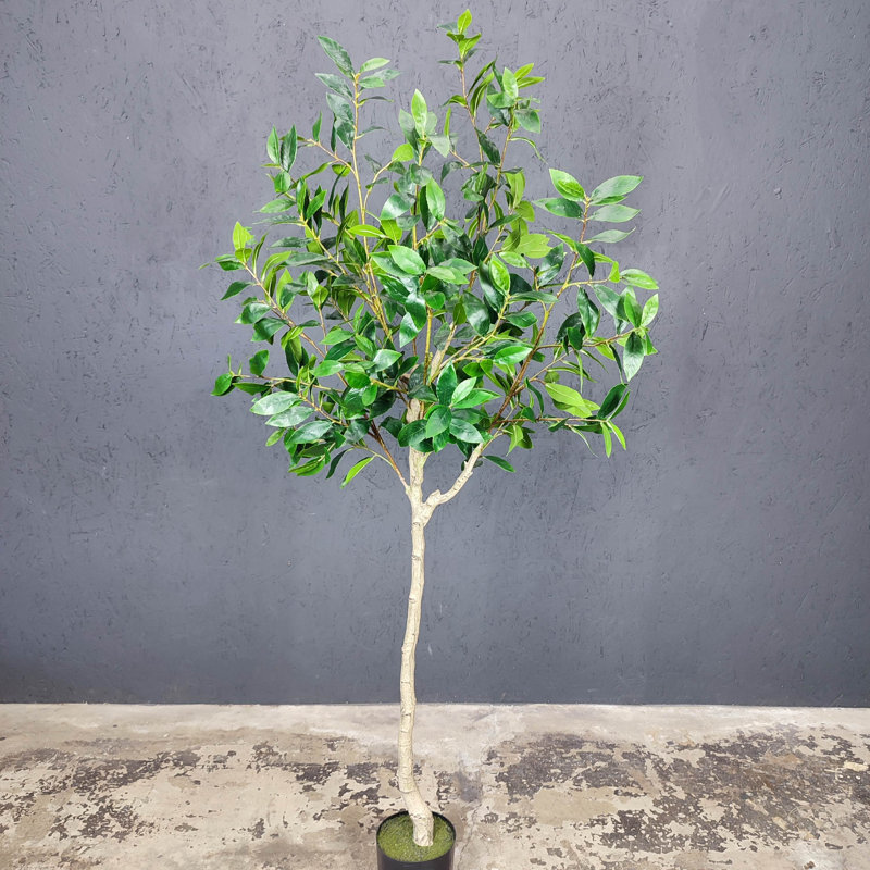 Artificial Bay Leaf Tree,Laurus Tree,Bay Tree,Laurel Tree