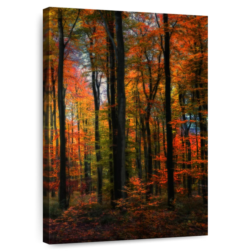 Alvord Autumn Transition, H 24 po x l 16 po