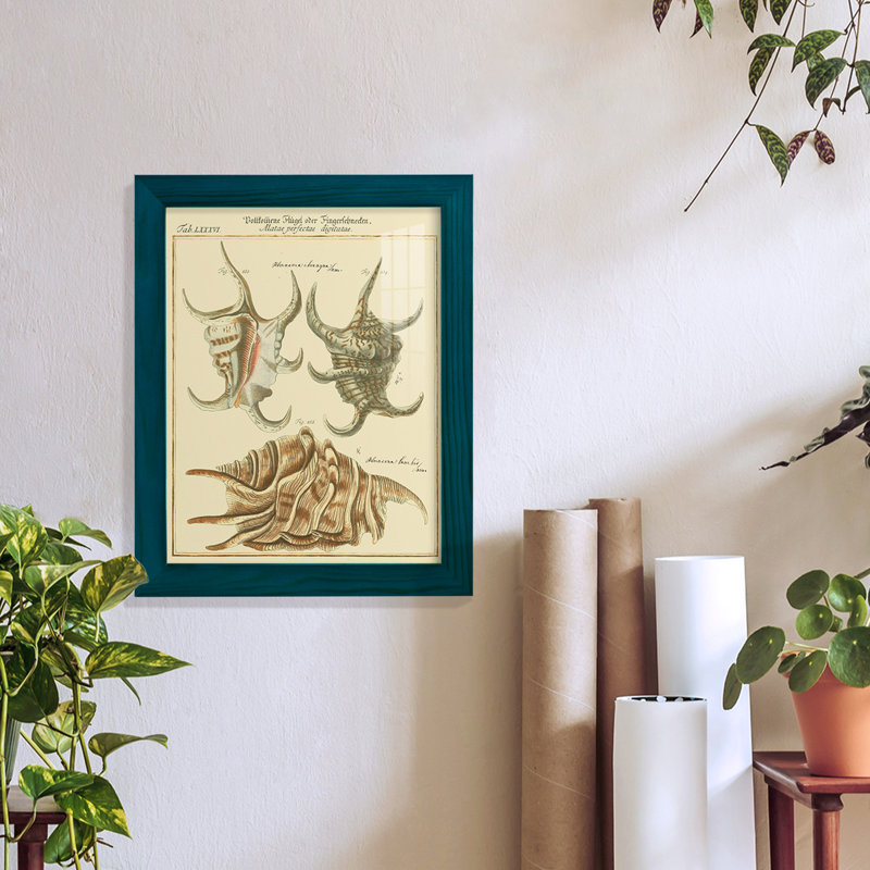 Antique Martini Shells IV " Antique Martini Shells IV " Print, 11" H x 9" W x 1" D, Blue