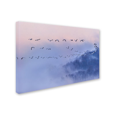 « snow oies », reproduction de photo sur toile tendue
