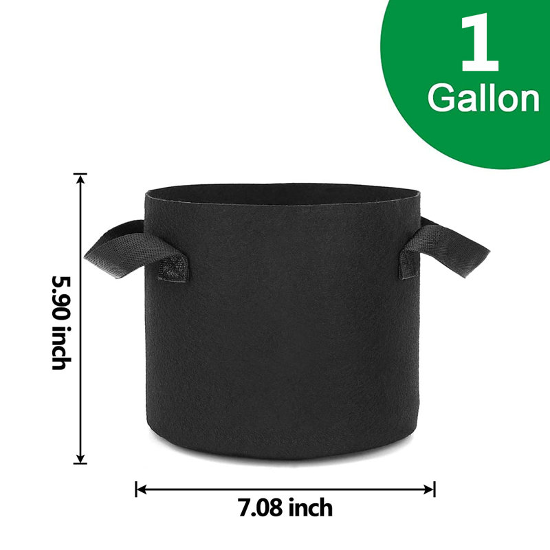 Tonecia Nursery Pot, 5.90" H x 7.08" W x 7.08" D
