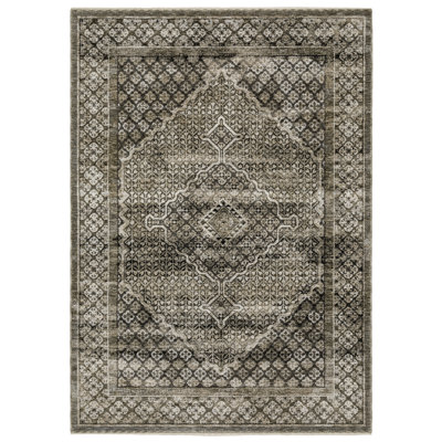 Emerence Oriental Indoor Rug