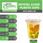 Gobelets jetables en plastique transparent 20 oz avec couvercles en forme de dôme pour boissons froides, café glacé, boissons gazeuses, cocktails et gobelets Ecoqualité (250)