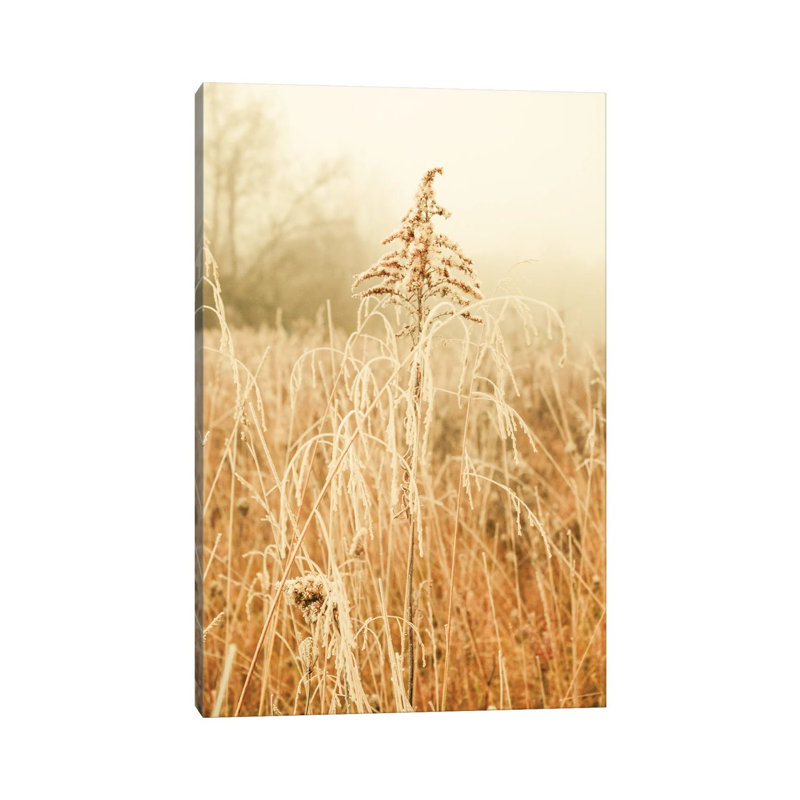 Nordic Winter III by Olivia Joy StClaire - Wrapped Canvas Print, 20.32 cm H x 30.48 cm W