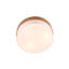 Rennan 3-Light 50cm LED Integrated Flush Mount-1555410740