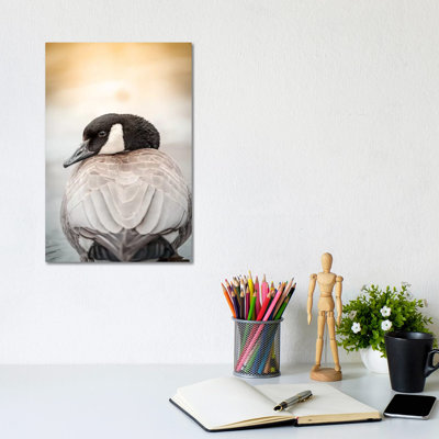 Goose Portrait Up Close by Nik Rave - Wrapped Canvas Print