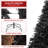 Spruce Christmas Tree-56794975