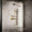 Statement Single-Function Iconic Handshower-585579133