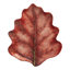 Forest Walk Leaf Plate Assorted 4 - Piece Set