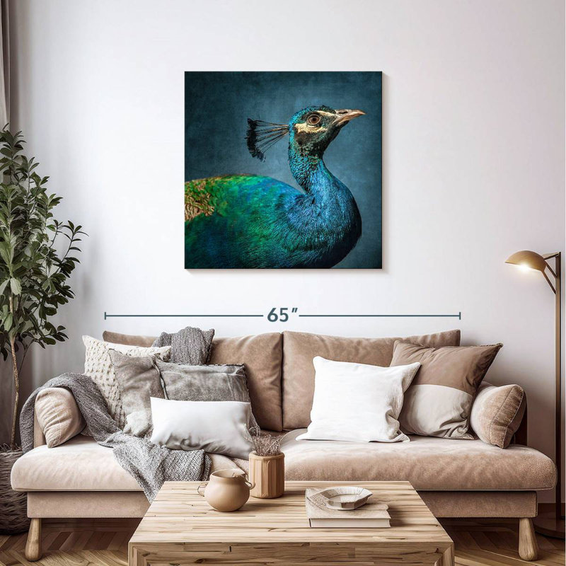 Crowle, portrait de paon bleu