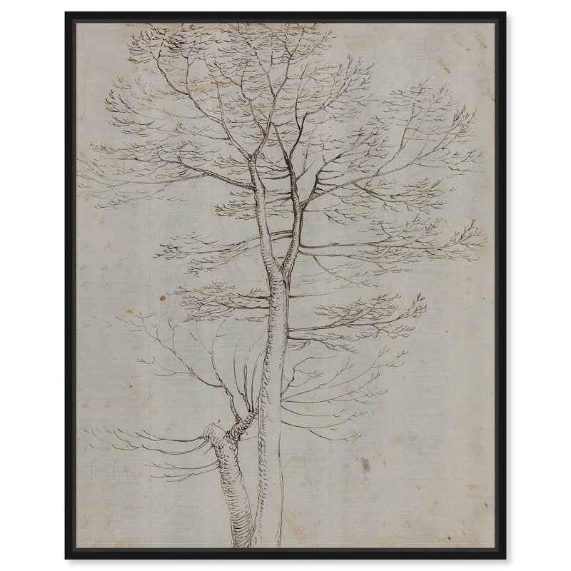 «Bartolommeo Bare Tree Canvas Classic Sketches» par Bartolommeo , H 21 po x l 17 po, Cadre flottant noir