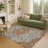 Machine Washable Indoor/Outdoor Chantille ACN2463 Traditional Rug-2027635563-2027635567