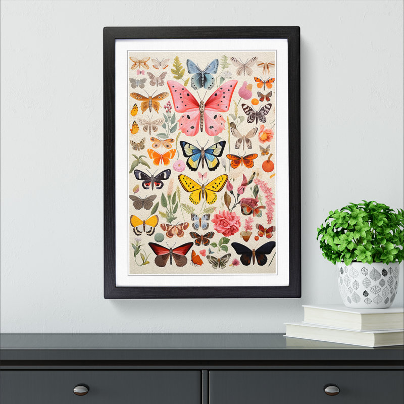XYZ-FRM-V1223-4554 Moth Colour Field - Single Picture Frame Print on Wood, 64cm H x 46cm W x 2cm D, Black 