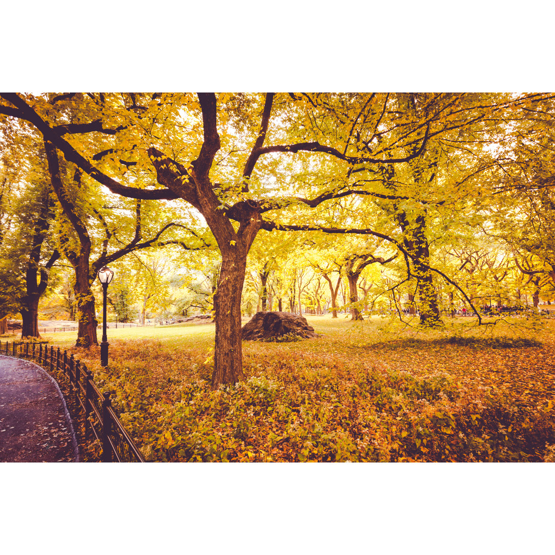 Central Park In Fall von Cmart - Leinwand Kunstdrucke