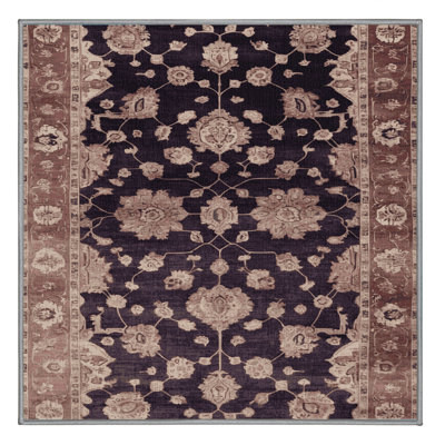Machine Washable Overdyed Brown Area Rug