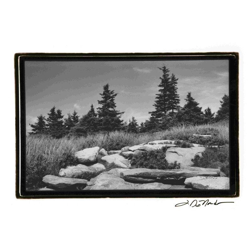 " Rocky Green " by Laura DeNardo, 8" H x 12" W  